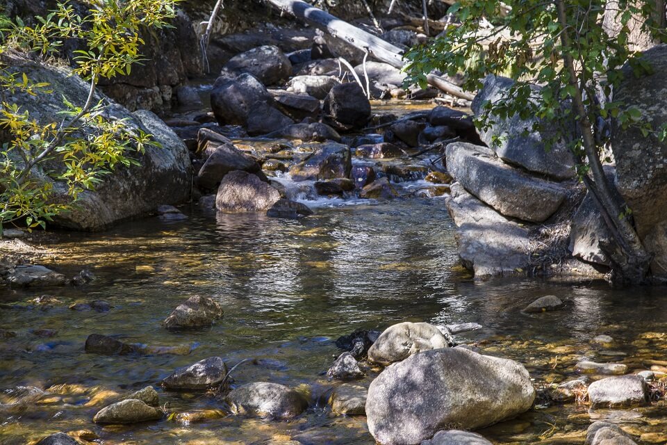 Falls Creek in RMNP, CO